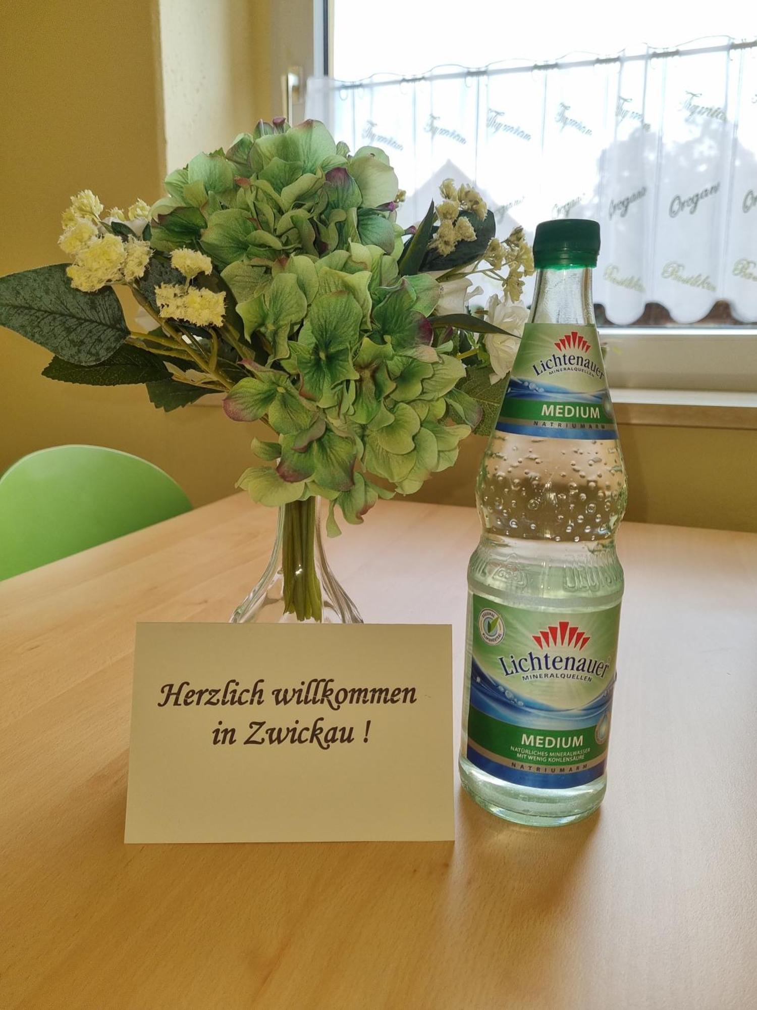 Ferienwohnung Im Zentrum Zwickaus Exterior foto
